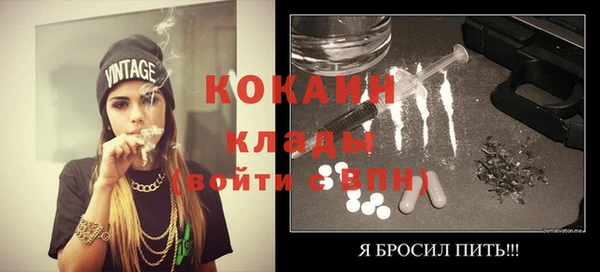 МДПВ Вяземский