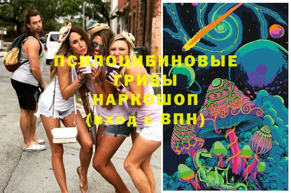 МДПВ Вяземский