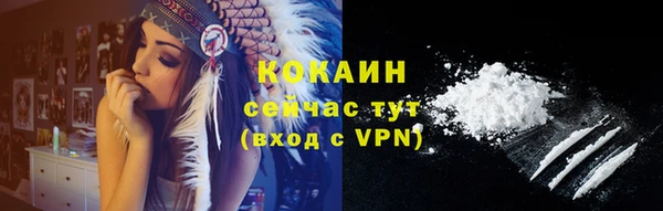 МДПВ Вяземский
