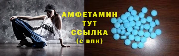 МДПВ Вяземский