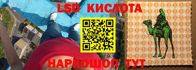 PSILOCYBIN Кингисепп