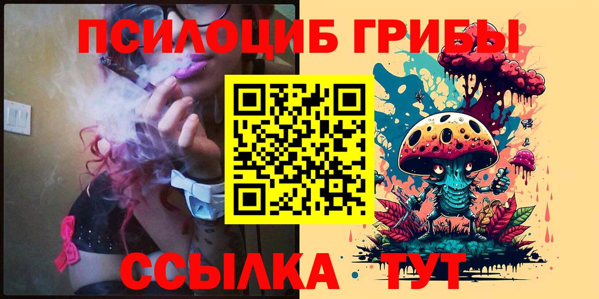 Псилоцибиновые грибы GOLDEN TEACHER Назарово