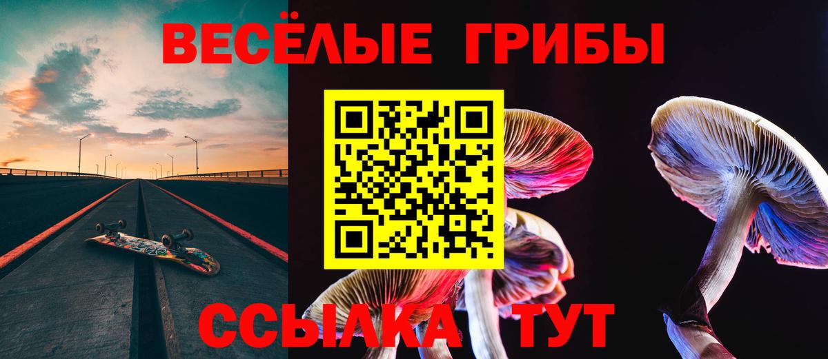 Галлюциногенные грибы MAGIC MUSHROOMS Назарово