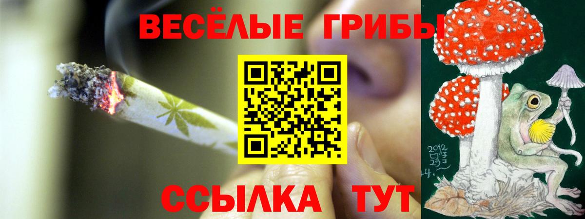 Назарово  Галлюциногенные грибы мухоморы  Вход с VPN 